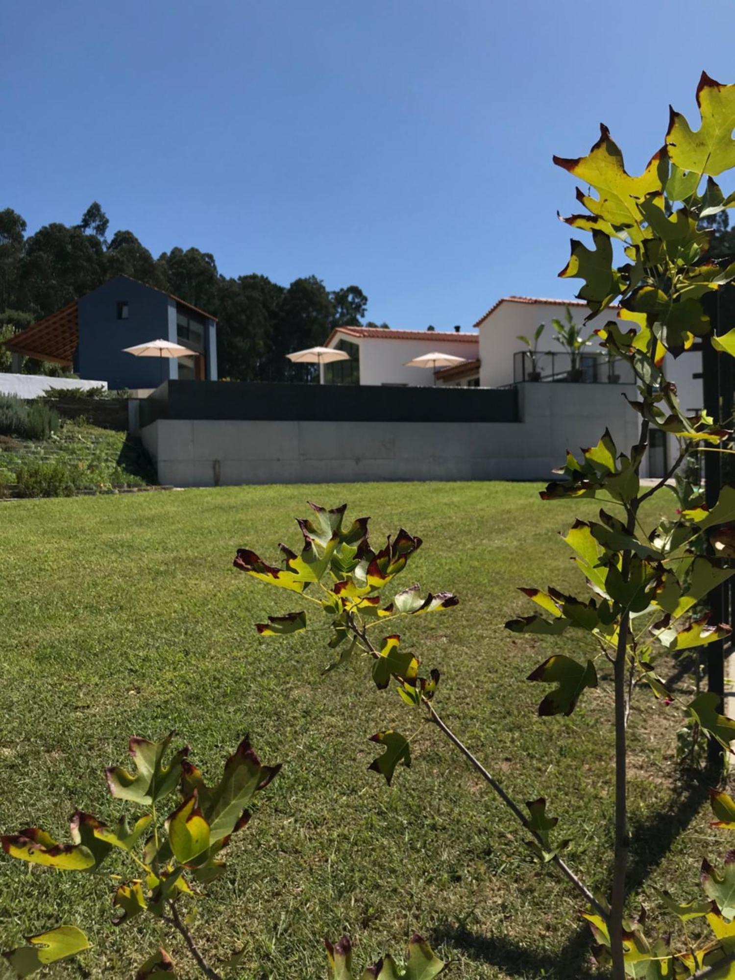 Casa Da Milheira - Agroturismo Oliveira de Azemeis Εξωτερικό φωτογραφία