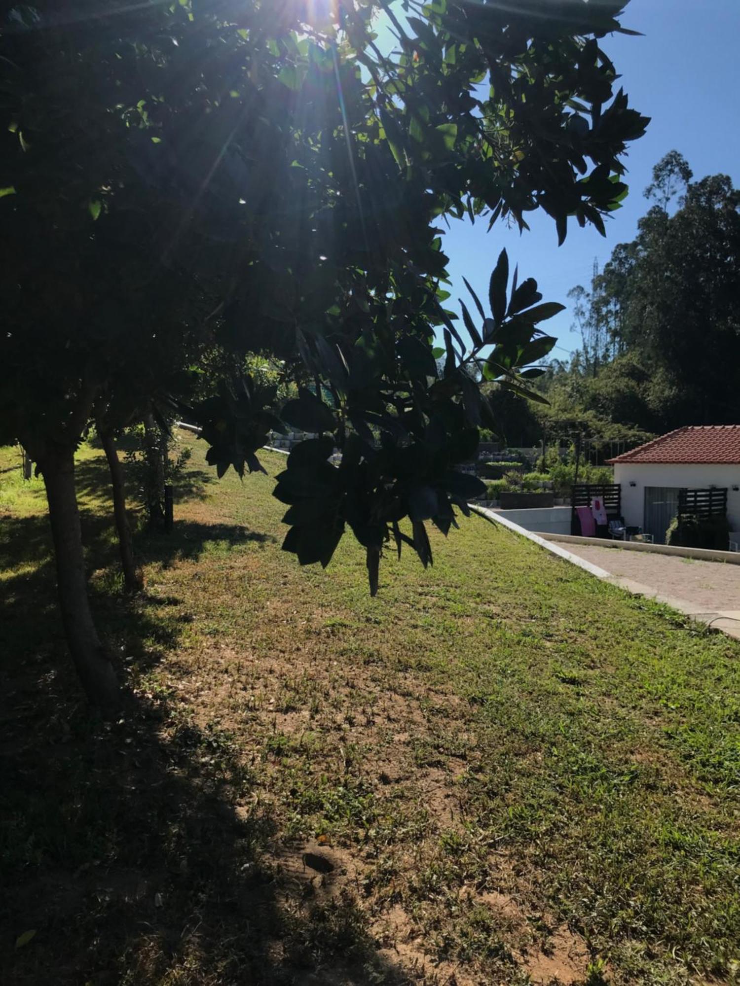 Casa Da Milheira - Agroturismo Oliveira de Azemeis Εξωτερικό φωτογραφία