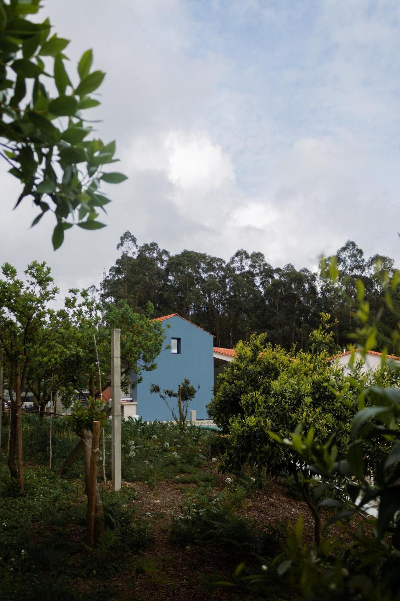 Casa Da Milheira - Agroturismo Oliveira de Azemeis Εξωτερικό φωτογραφία