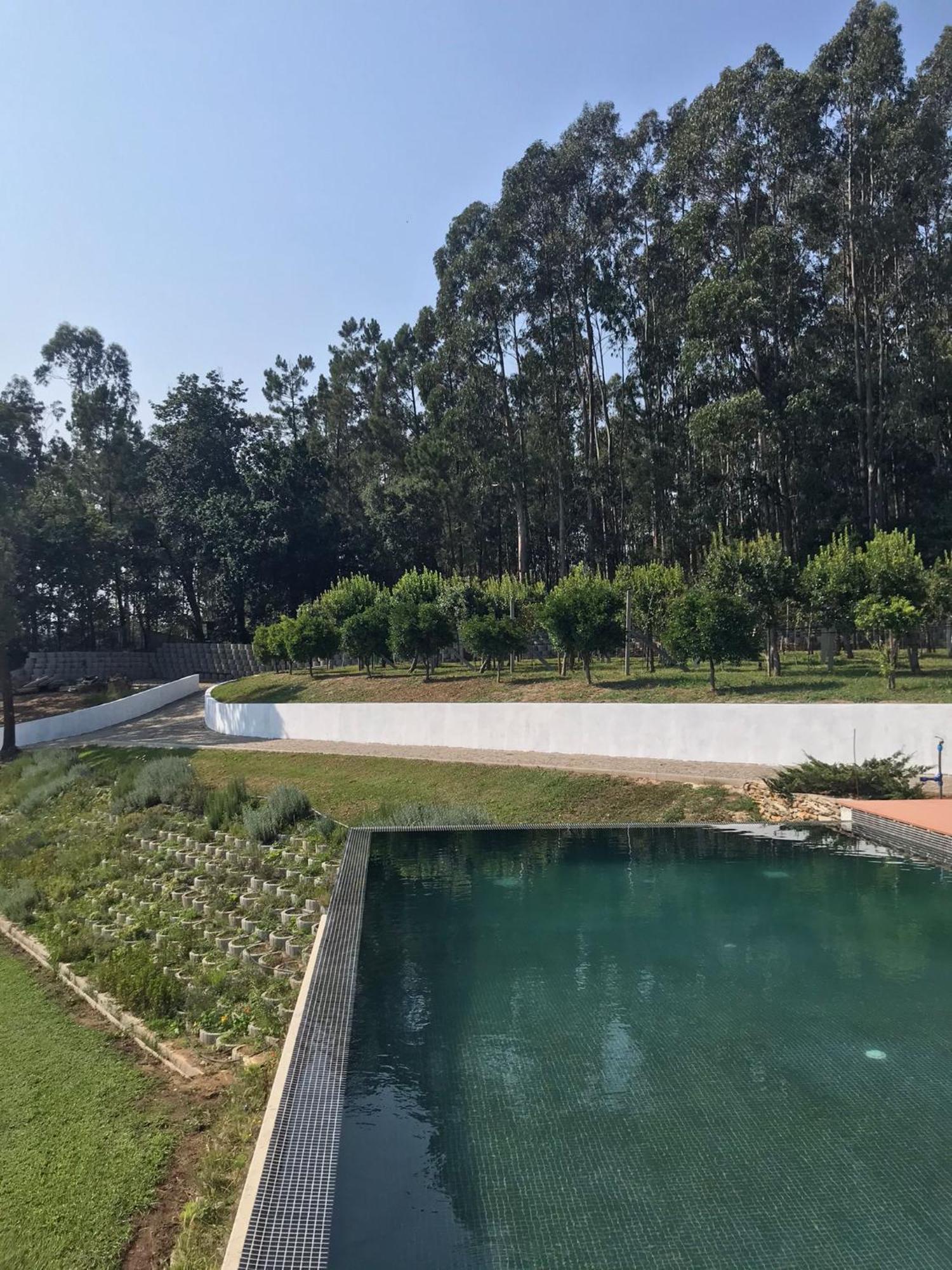 Casa Da Milheira - Agroturismo Oliveira de Azemeis Εξωτερικό φωτογραφία